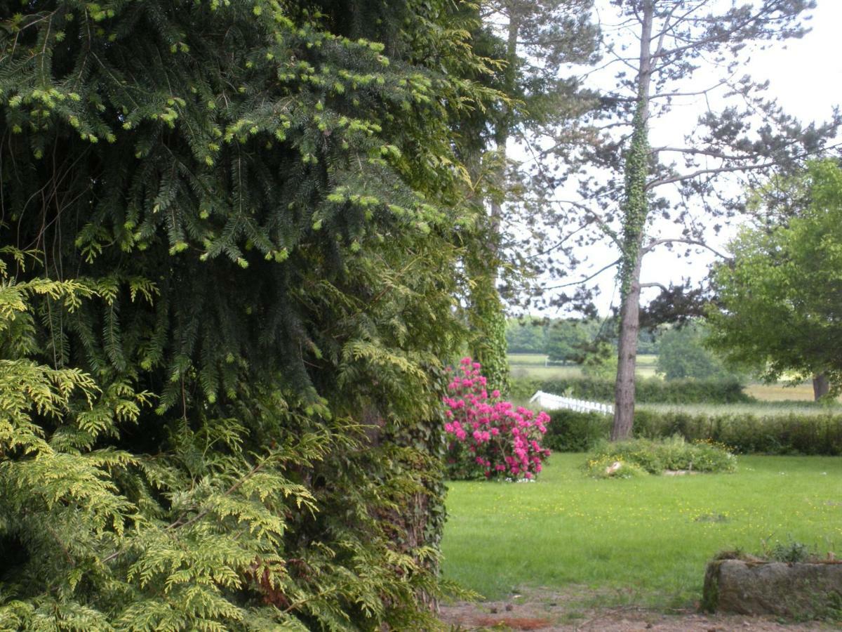 Le Domaine Du Mijarnier Bed and Breakfast Montbeugny Exterior foto
